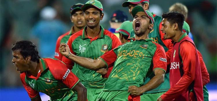 Shallow roots to Leicester shire growth