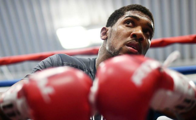 Malignaggi talks McGregor sparring session