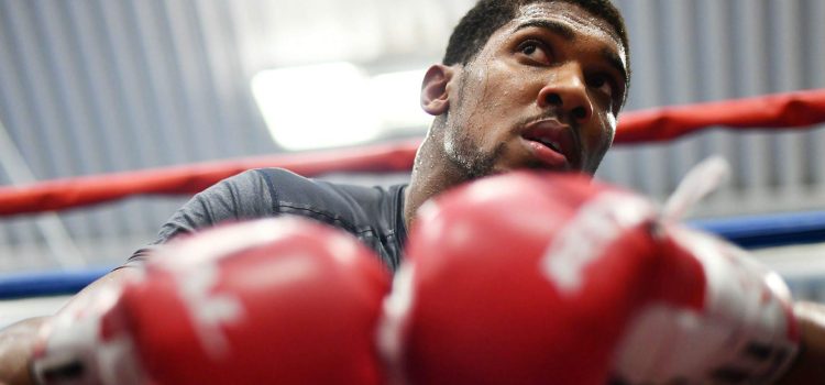 Malignaggi talks McGregor sparring session