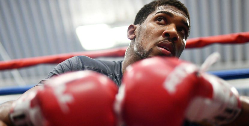 Malignaggi talks McGregor sparring session