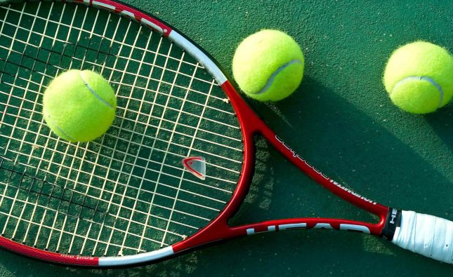 Isner tops qualifier to win 3rd Hall of Fame title