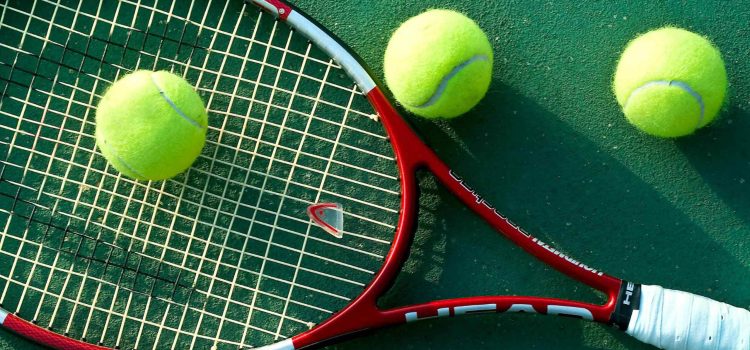 Isner tops qualifier to win 3rd Hall of Fame title